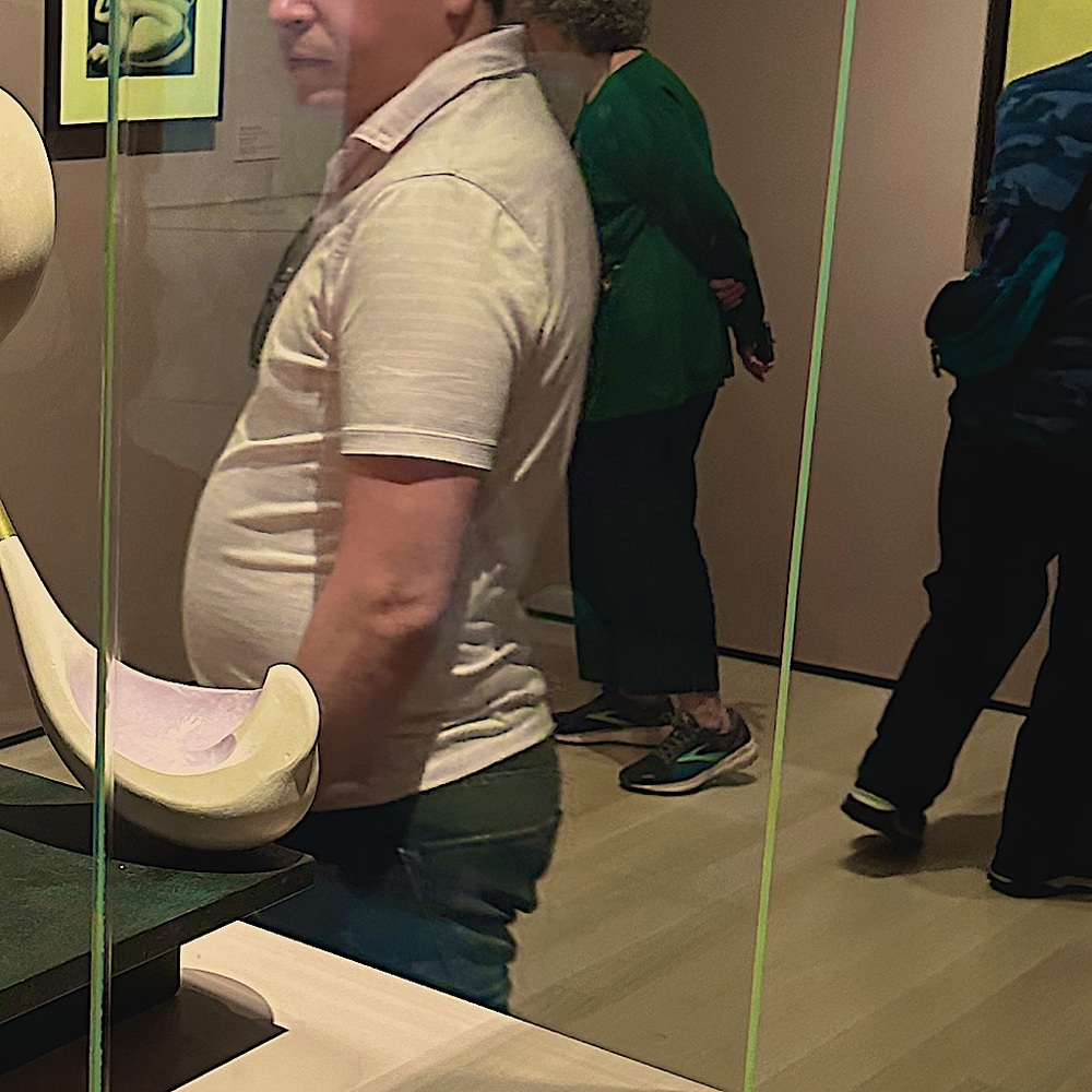 Nice form fitting polo